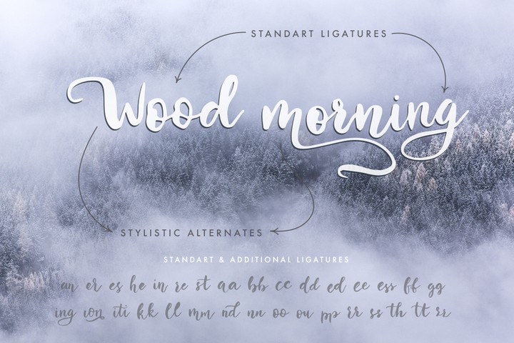 Example font Winter story #5